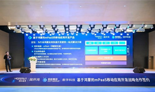 雙向奔赴，共創未來 螞蟻數科與潤開鴻戰略合作，發布mPaaS移動應用開發產品，助力揚州軟件產業發展