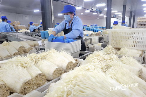 工廠化種植食用菌供應(yīng)市場(chǎng)