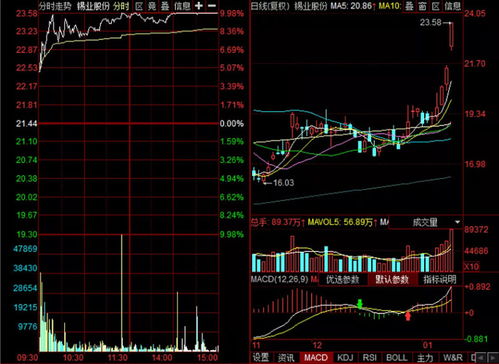 報復(fù)性反彈出現(xiàn)